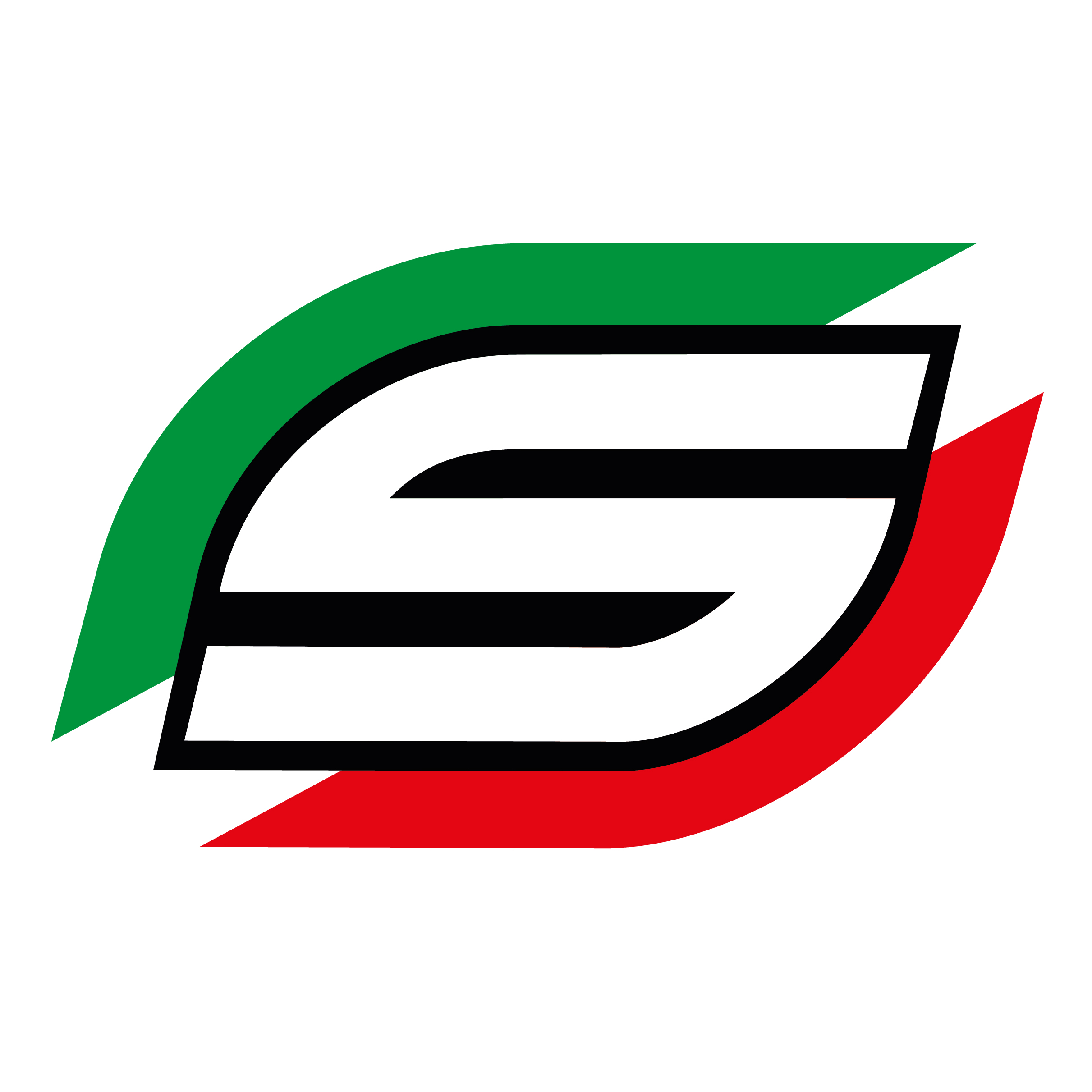 Logo Salice
